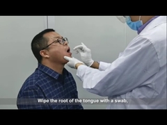 prueba de la esponja