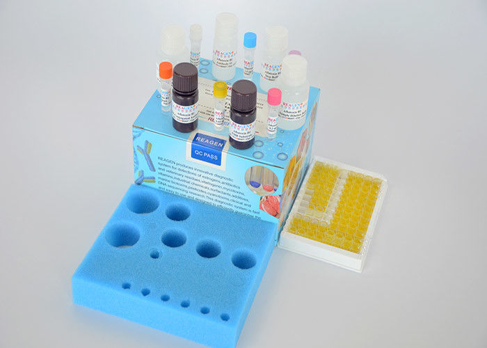 High Reproducibility Veterinary Residue Test Kit Streptomycin ELISA Test Kit